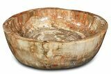 Polished Petrified Wood Bowl ( lbs) - Madagascar #317040-1